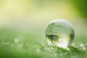close-up-crystal-globe-resting-grass-forest-min